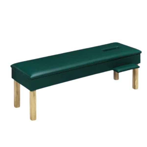 Upholstered Adjustment Treatment Bench